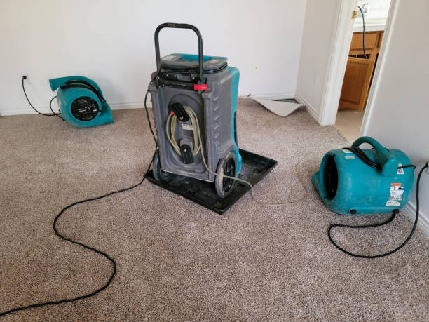 Best Water damage restoration near me  in Whitehorn Cove, OK