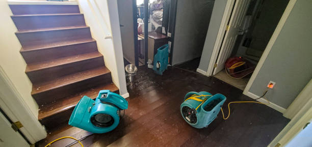 Best Residential water damage restoration  in Whitehorn Cove, OK