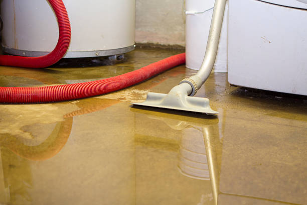 Best Basement water damage restoration  in Whitehorn Cove, OK