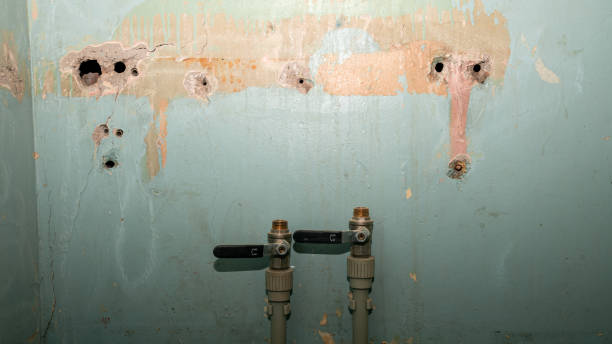 Best Emergency water damage restoration  in Whitehorn Cove, OK