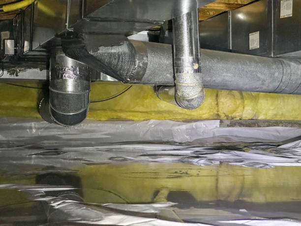 Best Mold removal after water damage  in Whitehorn Cove, OK