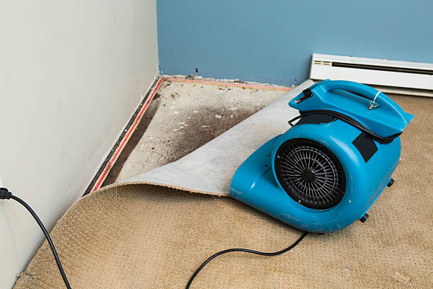 Best Water damage cleanup near me  in Whitehorn Cove, OK